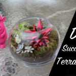 DIY Succulent Terrarium