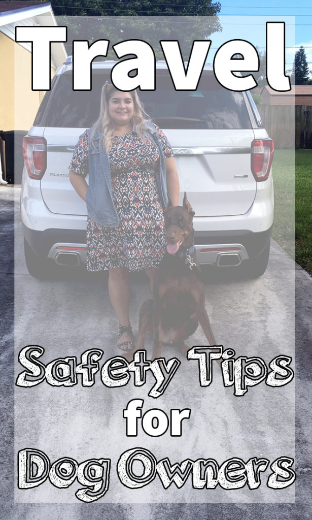 travel safety tips for dog owners