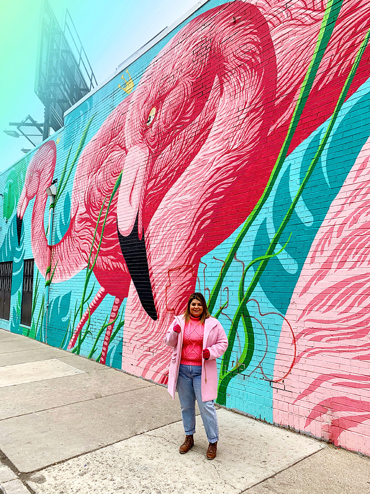 flamingo mural in chicago